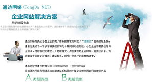 濮陽(yáng)通達(dá)網(wǎng)絡(luò) 為小型企業(yè)量身打造專(zhuān)業(yè)網(wǎng)站解決方案與推廣服務(wù)